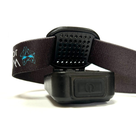 Wolf Outdoors VEX-320 Lumen Headtorch Flashlight